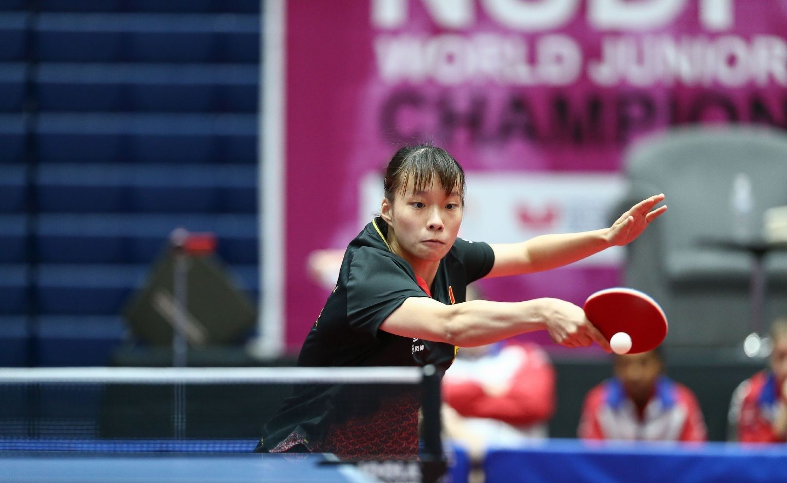 结论趋势 结论趋势