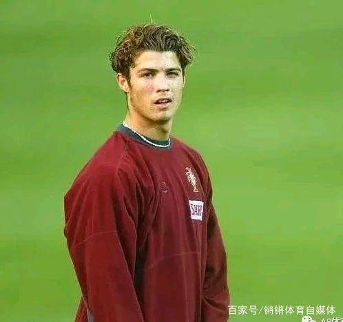 不仅彰显了 不仅彰显了